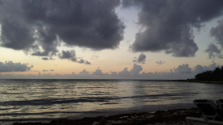 Siete días en el Paraíso: Riviera Maya - Blogs de Mexico - Segundo día, conociendo el entorno (4)