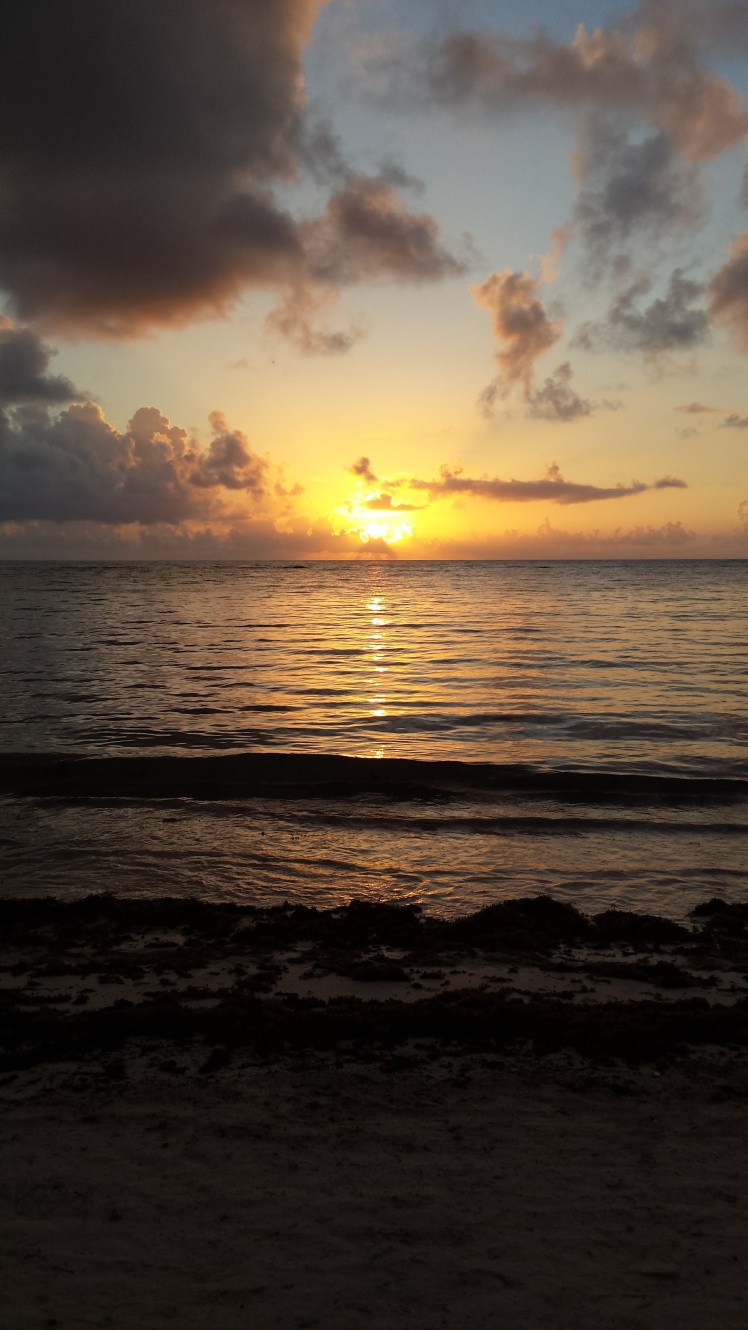 Siete días en el Paraíso: Riviera Maya - Blogs de Mexico - Segundo día, conociendo el entorno (2)