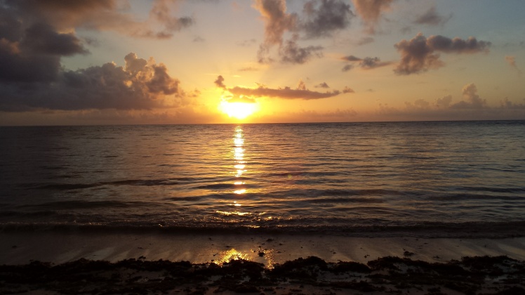 Siete días en el Paraíso: Riviera Maya - Blogs de Mexico - Segundo día, conociendo el entorno (3)