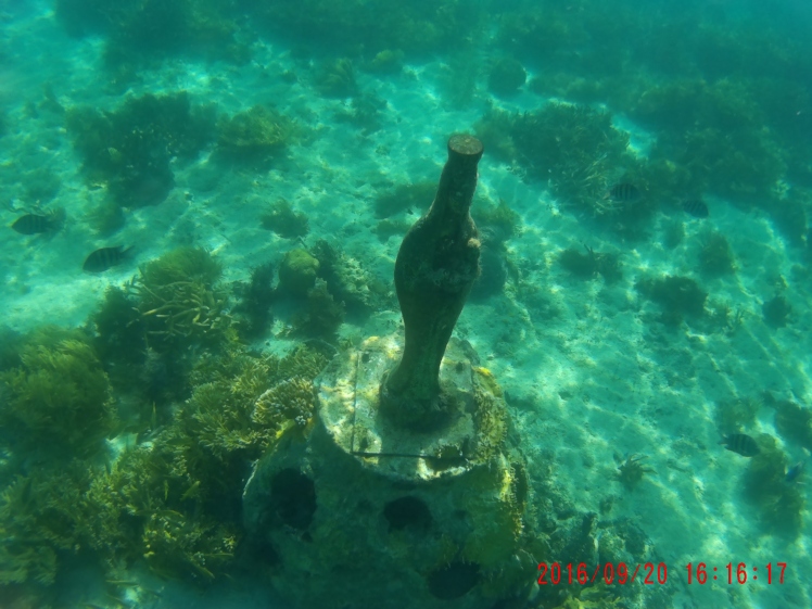 Quinto día, Isla Mujeres - Siete días en el Paraíso: Riviera Maya (4)