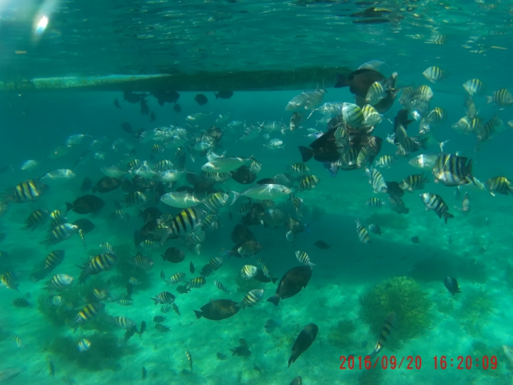 Quinto día, Isla Mujeres - Siete días en el Paraíso: Riviera Maya (5)
