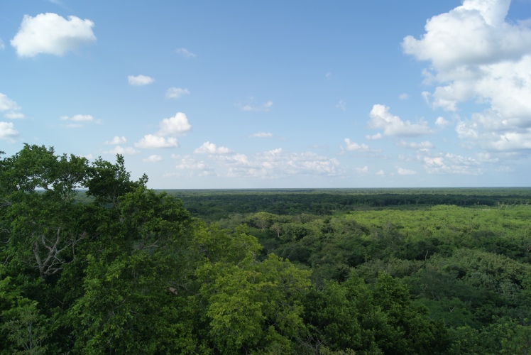 Siete días en el Paraíso: Riviera Maya - Blogs de Mexico - Tercer día, excursiones Chichén-Itza, cenote Il-Kil, Ek Balam (15)