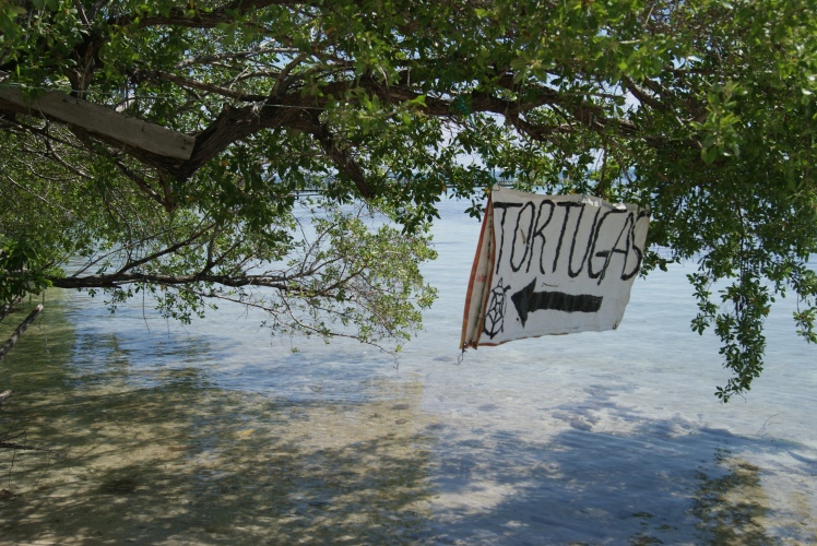 Quinto día, Isla Mujeres - Siete días en el Paraíso: Riviera Maya (13)