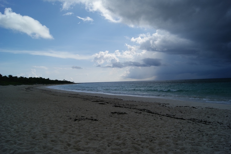 Séptimo día, Xcacel y Xcacelito, hotel y Cocobongo - Siete días en el Paraíso: Riviera Maya (2)